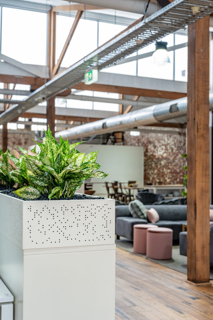 Plants, couhces, large kitchen tables and more are essential elements to the coworking areas of ko&co workhub south melbourne. Take a tour today to find out more.