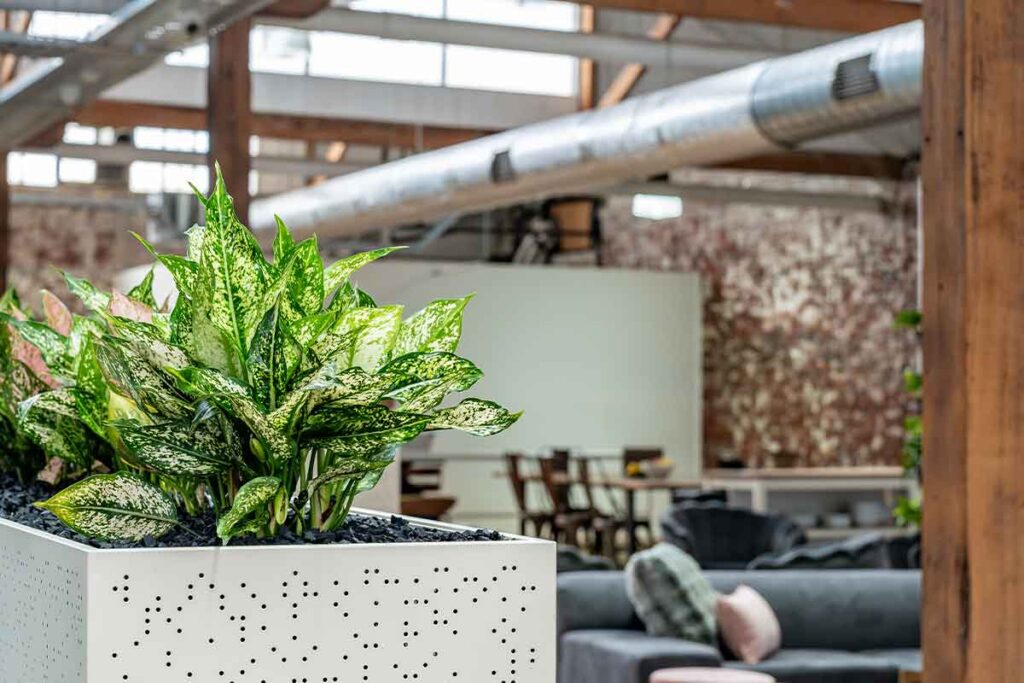 Work solo. Connect collectively. Our desks enable focused time and then our couches, large benchtops and kitchen table allow the community to come together and connect.