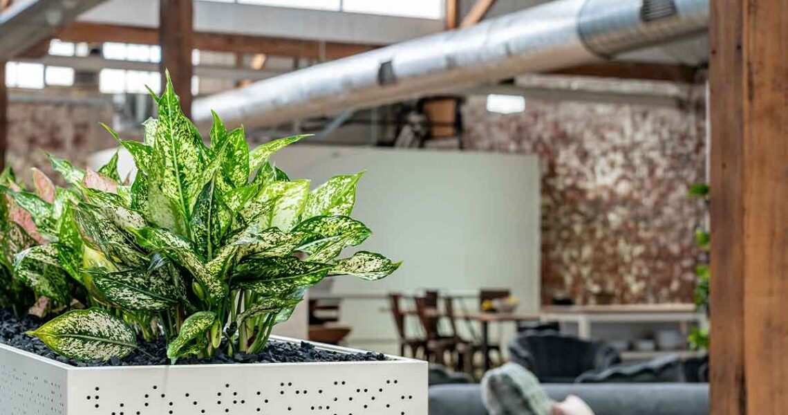 Work solo. Connect collectively. Our desks enable focused time and then our couches, large benchtops and kitchen table allow the community to come together and connect.