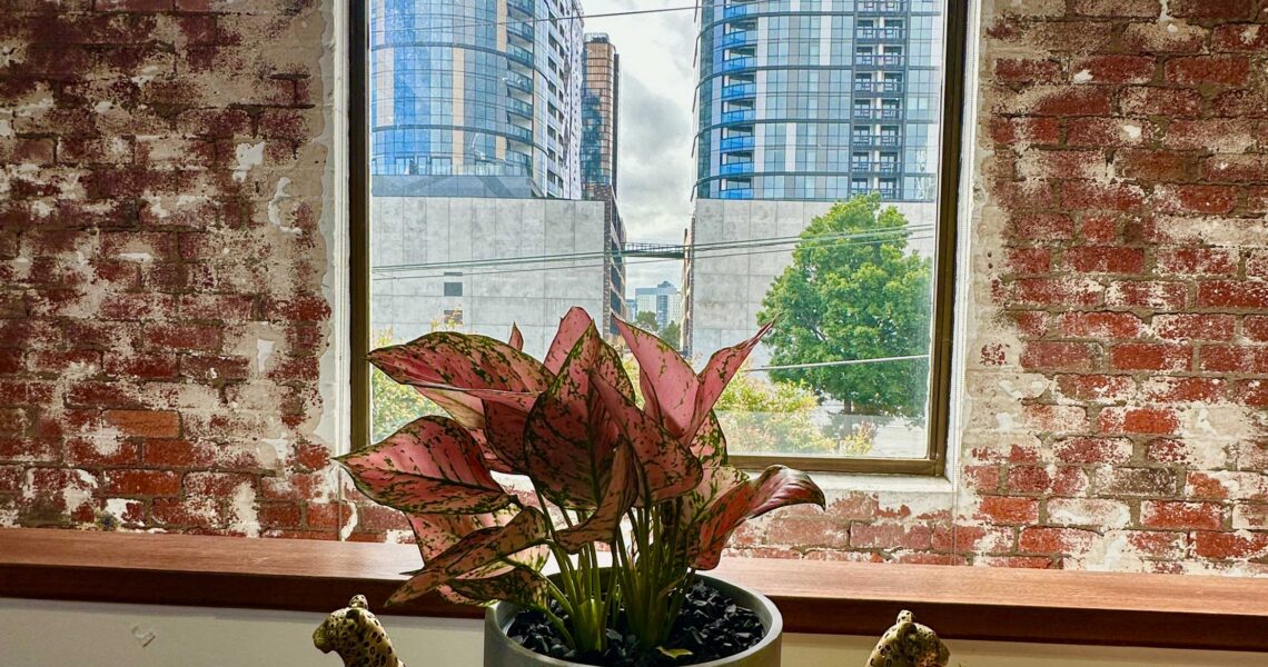 A styled desk with greenery and gold cheetah bookends at ko&co workhub, overlooking South Melbourne—ideal for remote workers using our virtual office address.
